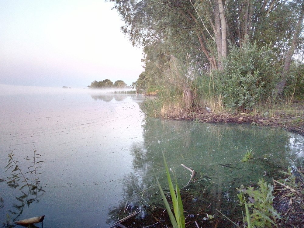 Photograph by Павел Дегтярев