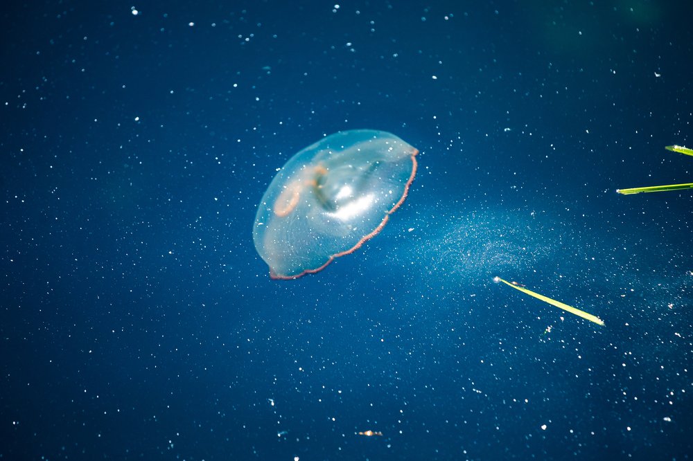 Фотография автора Артур Петросян