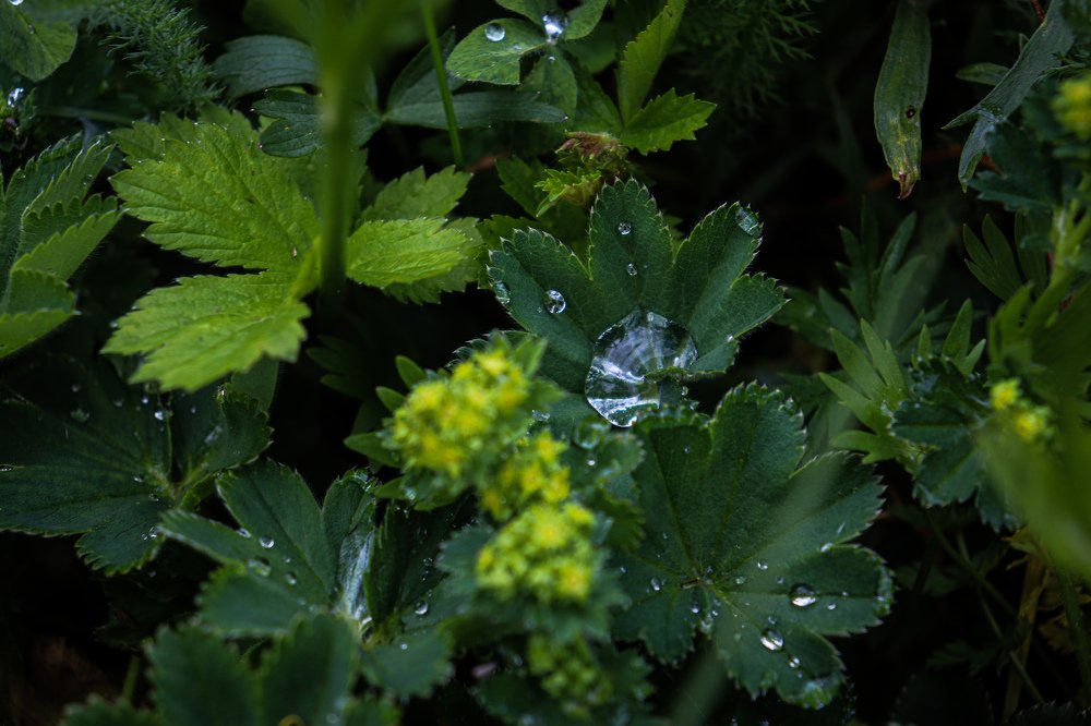 Photograph by Елена Сураева