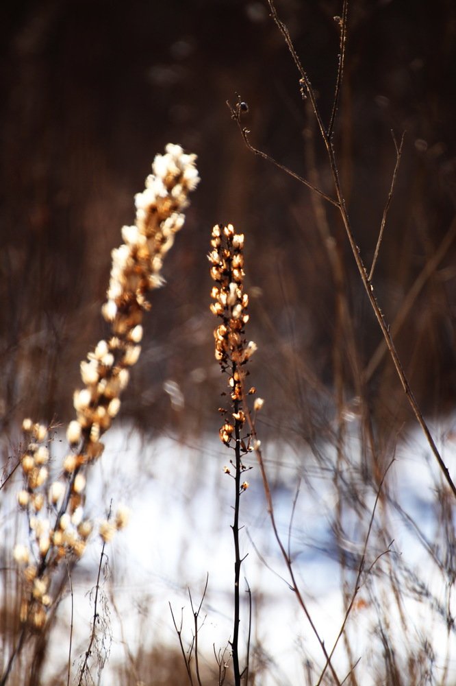 Photograph by Анатолий