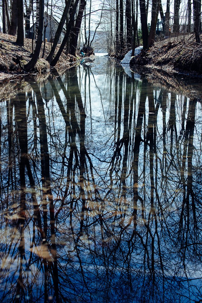 Photograph by Сергеева Марина