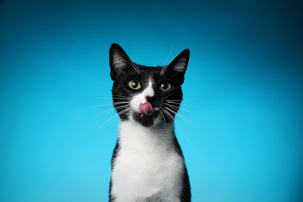 Photograph by Alvaro Torrejon