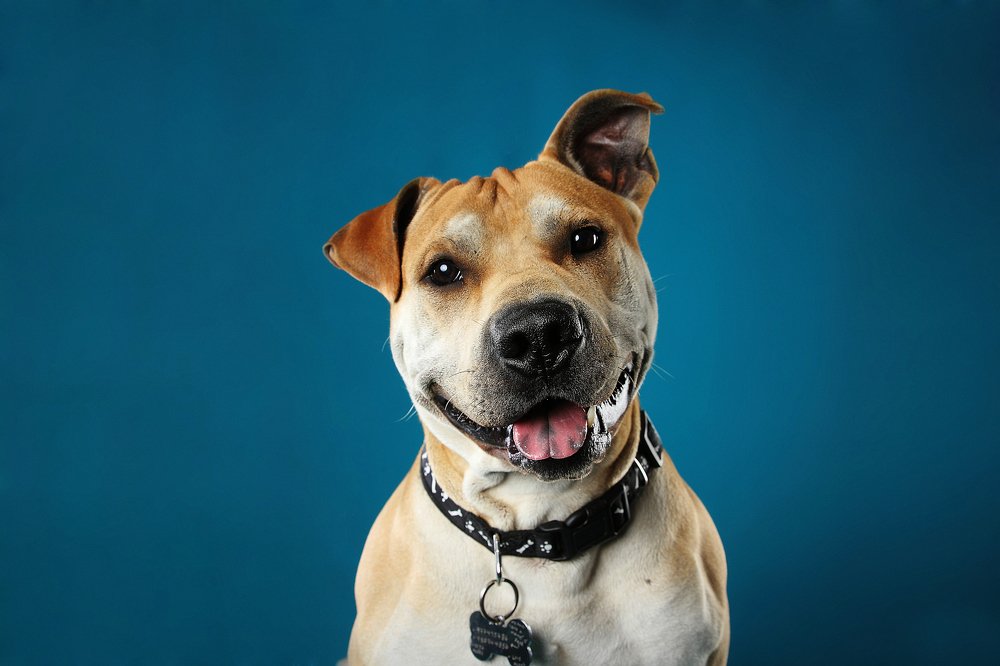 Photograph by Alvaro Torrejon