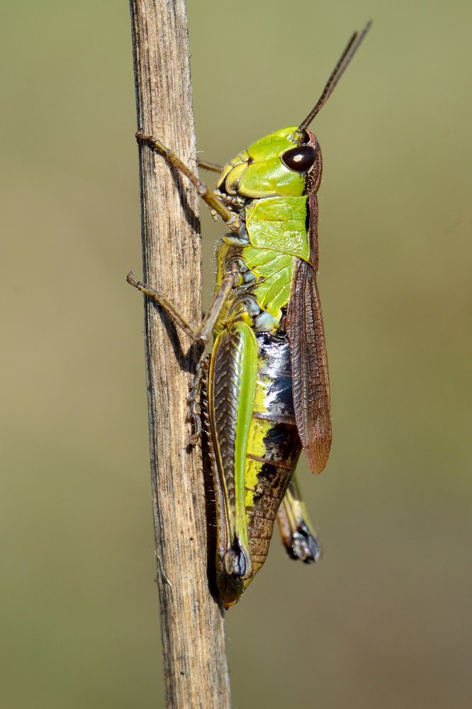 Photograph by Людмила Шалина