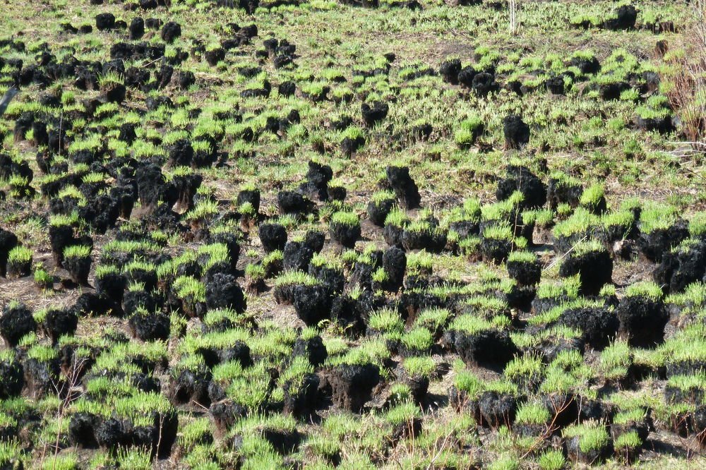 Photograph by Владислав Завальнюк