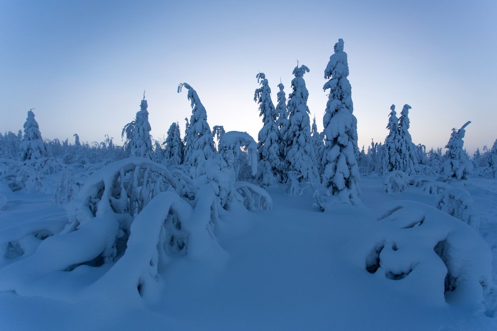 Photograph by Савицкий Ян