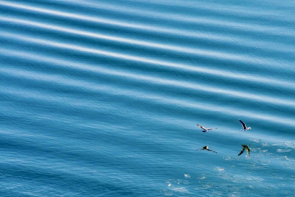 Photograph by Chia Hasankhali