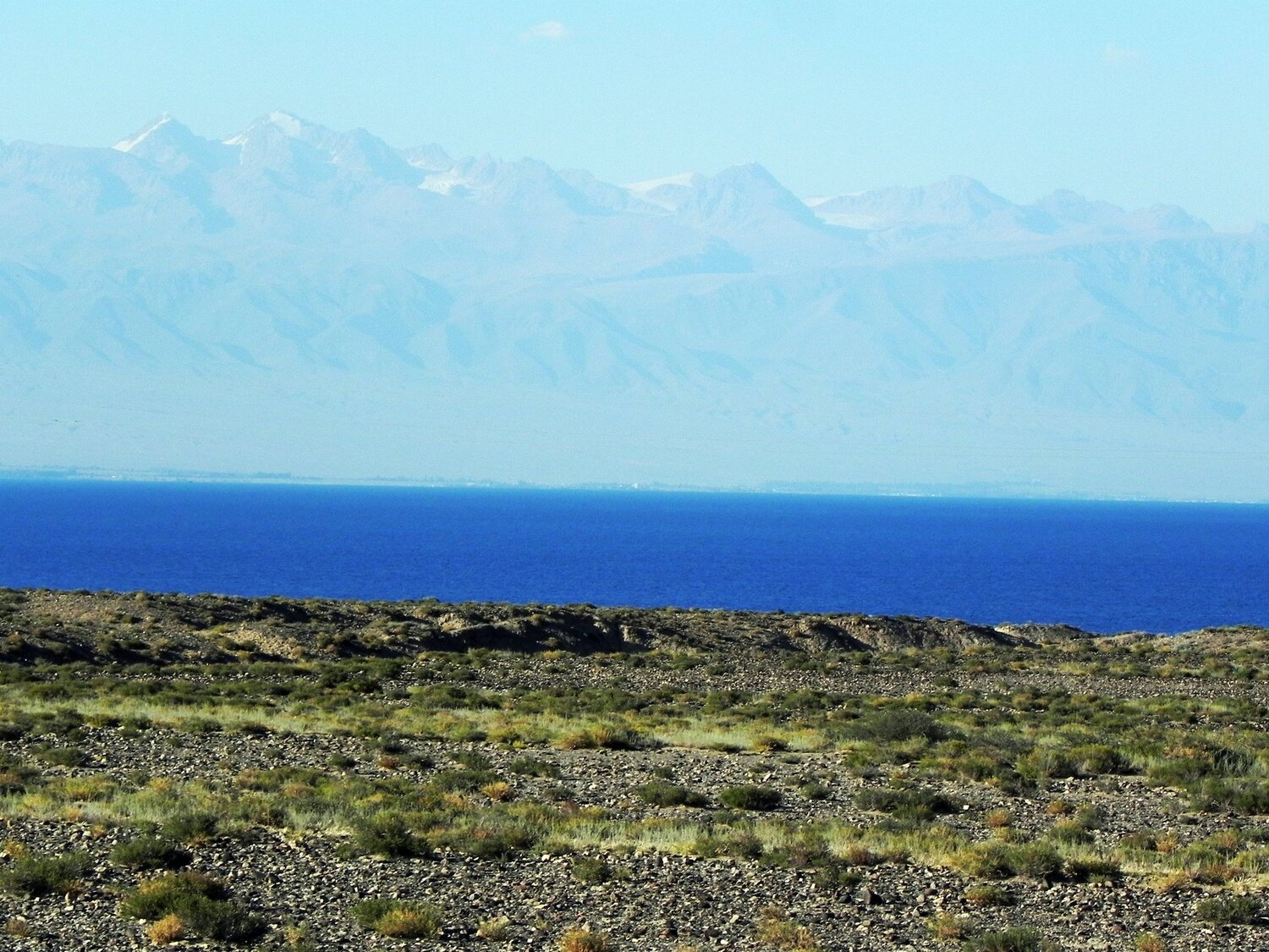 Photo #3683972