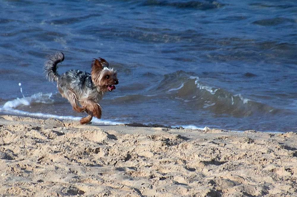 Photograph by Galina Rashap