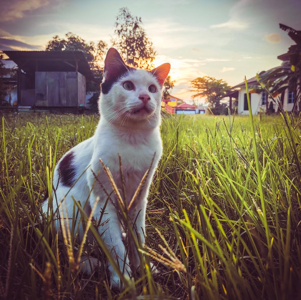 Photograph by Firdaus