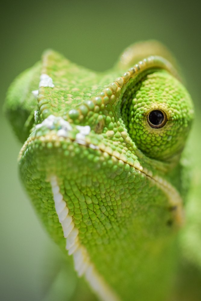 Photograph by Dinesh