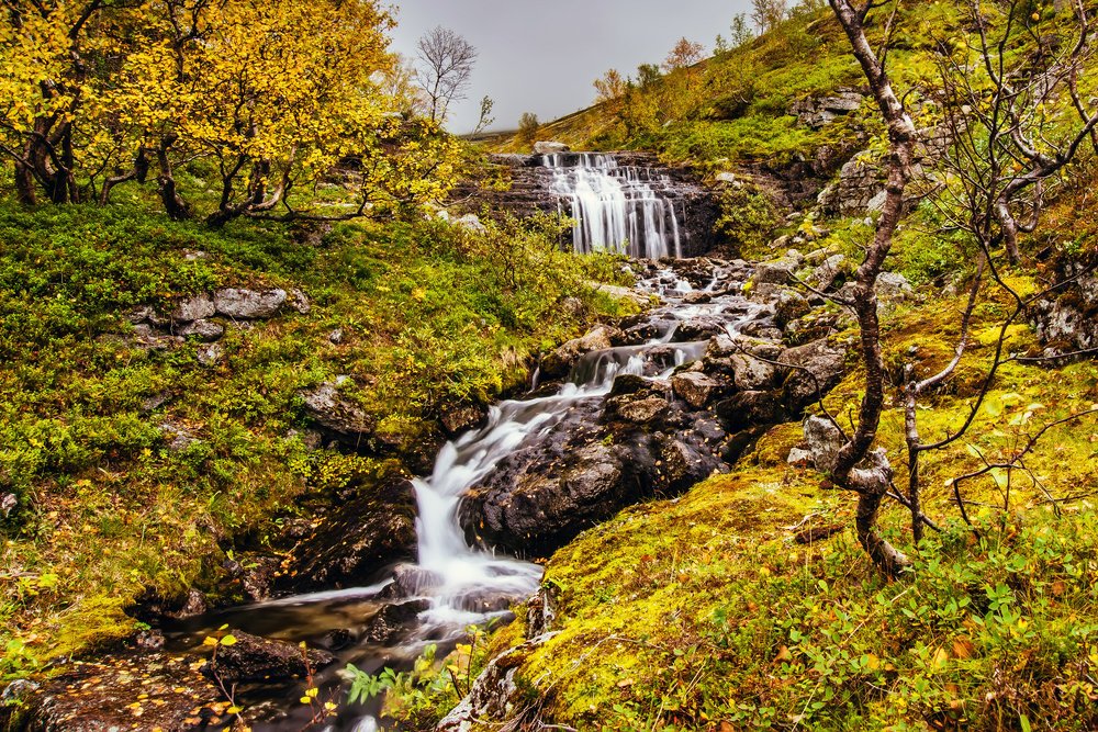 Photograph by Sergey Starostin