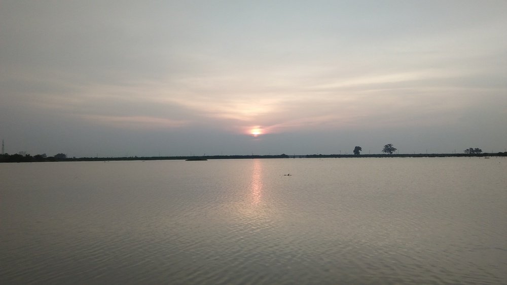 Photo #3684429