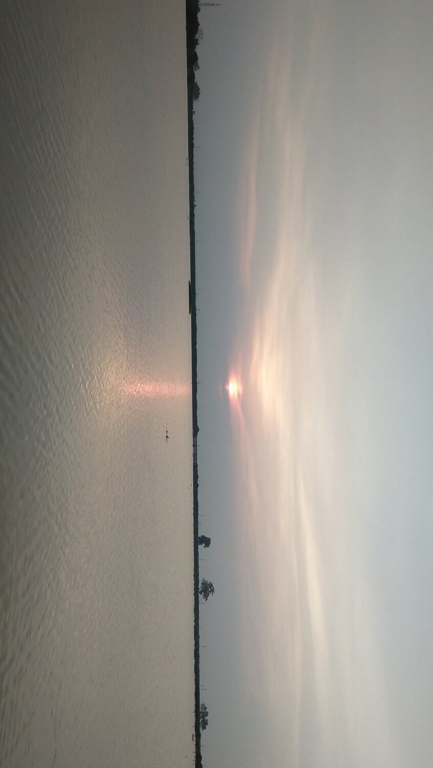 Photo #3684429