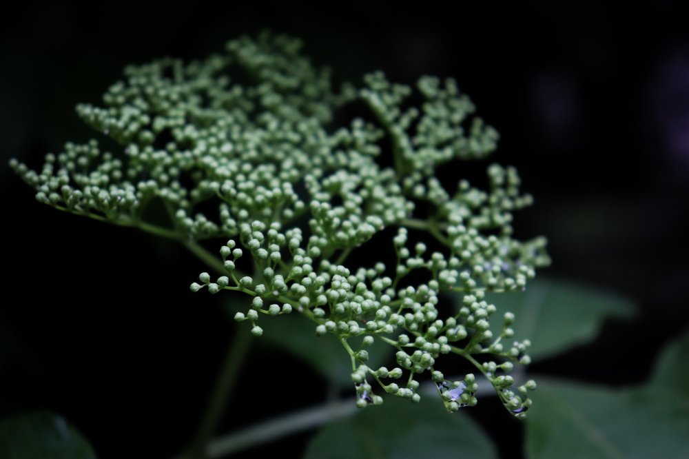 Photograph by Елена Сураева