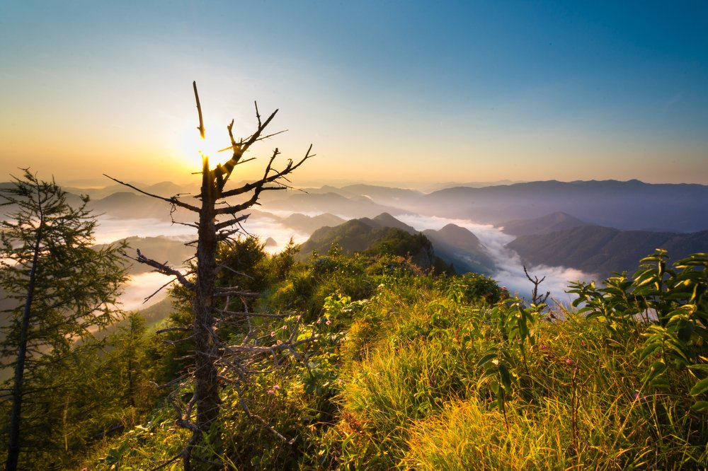 Photograph by Theo Crazzolara