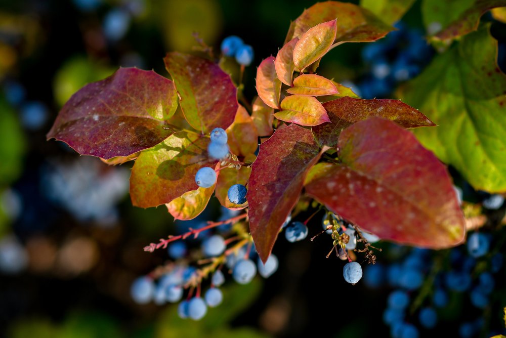 Photograph by Анастасия Донская