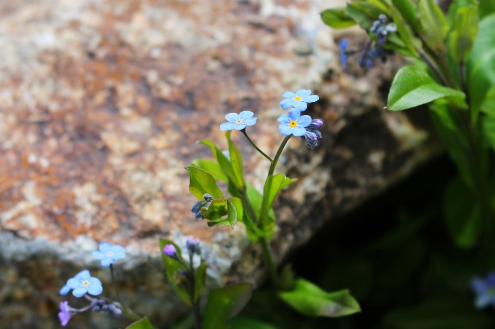 Photograph by Татьяна Телешенко