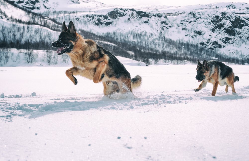 Photograph by ЕВГЕНИЙ СКАЛОЗУБОВ