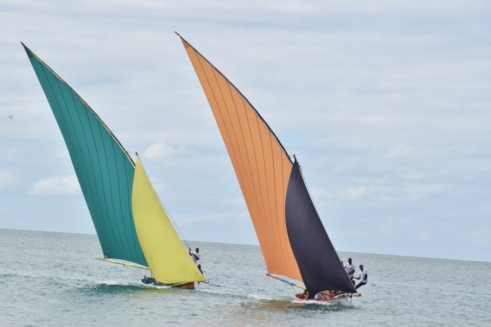 Regatta
