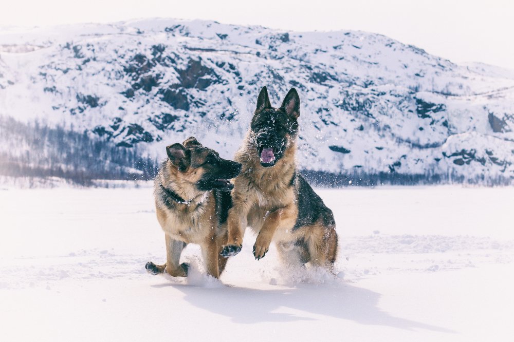 Photograph by ЕВГЕНИЙ СКАЛОЗУБОВ