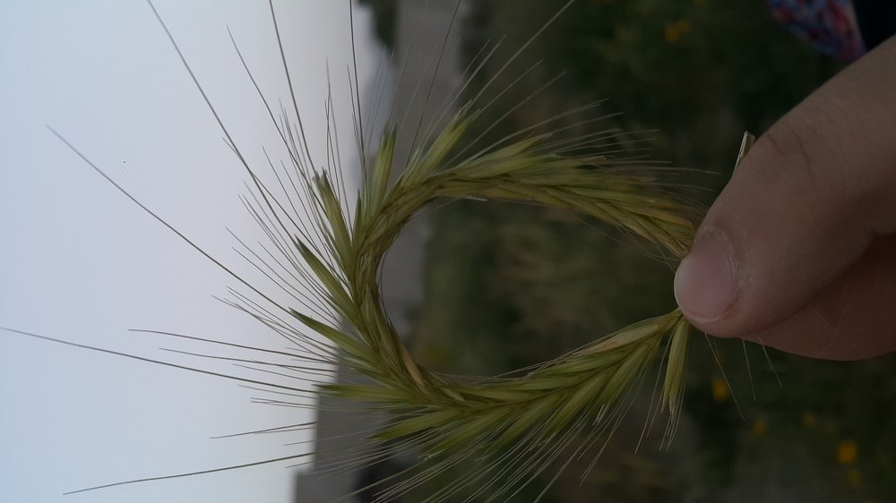 Photograph by Baha Ghaderi