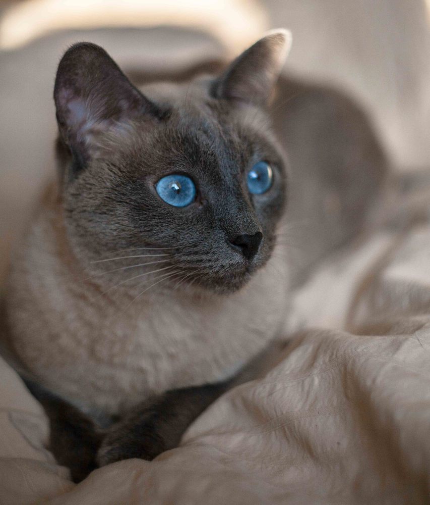 Photograph by Светлана Кавказская