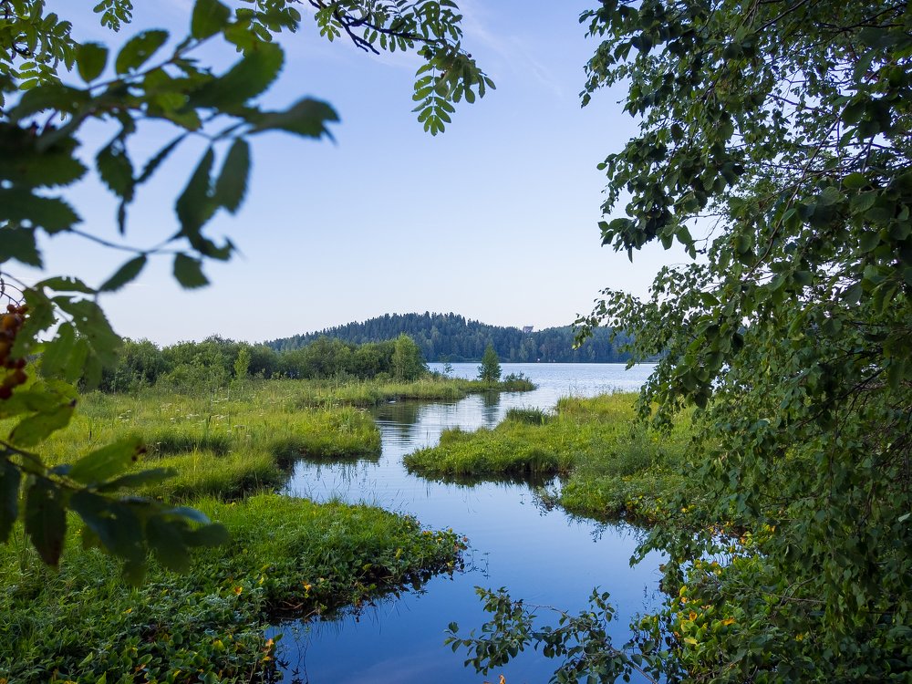 Photograph by Владимир Поздняков