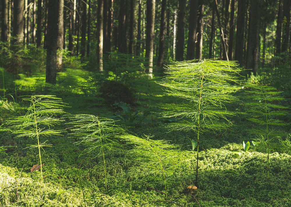 Photograph by Владимир Поздняков