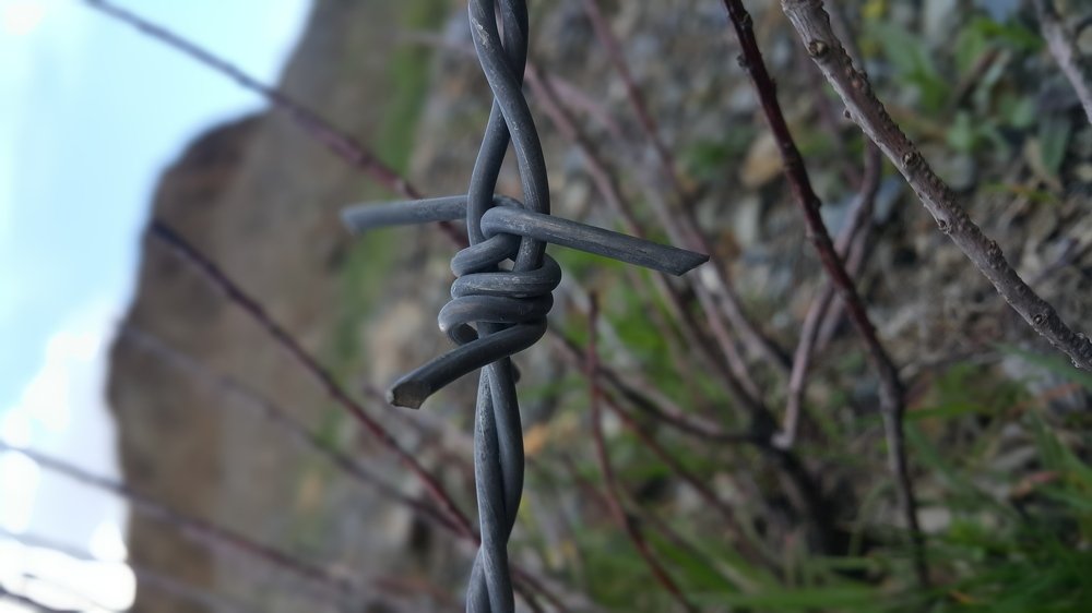 Photograph by Baha Ghaderi