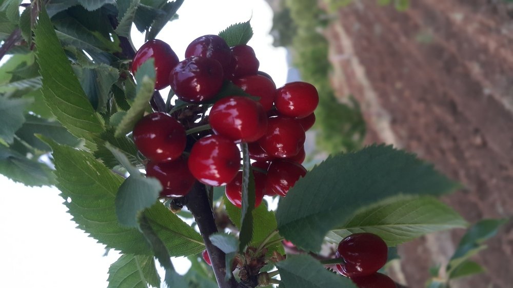 Photograph by Baha Ghaderi