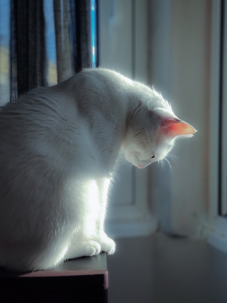 Photograph by Георгий Акопджанов