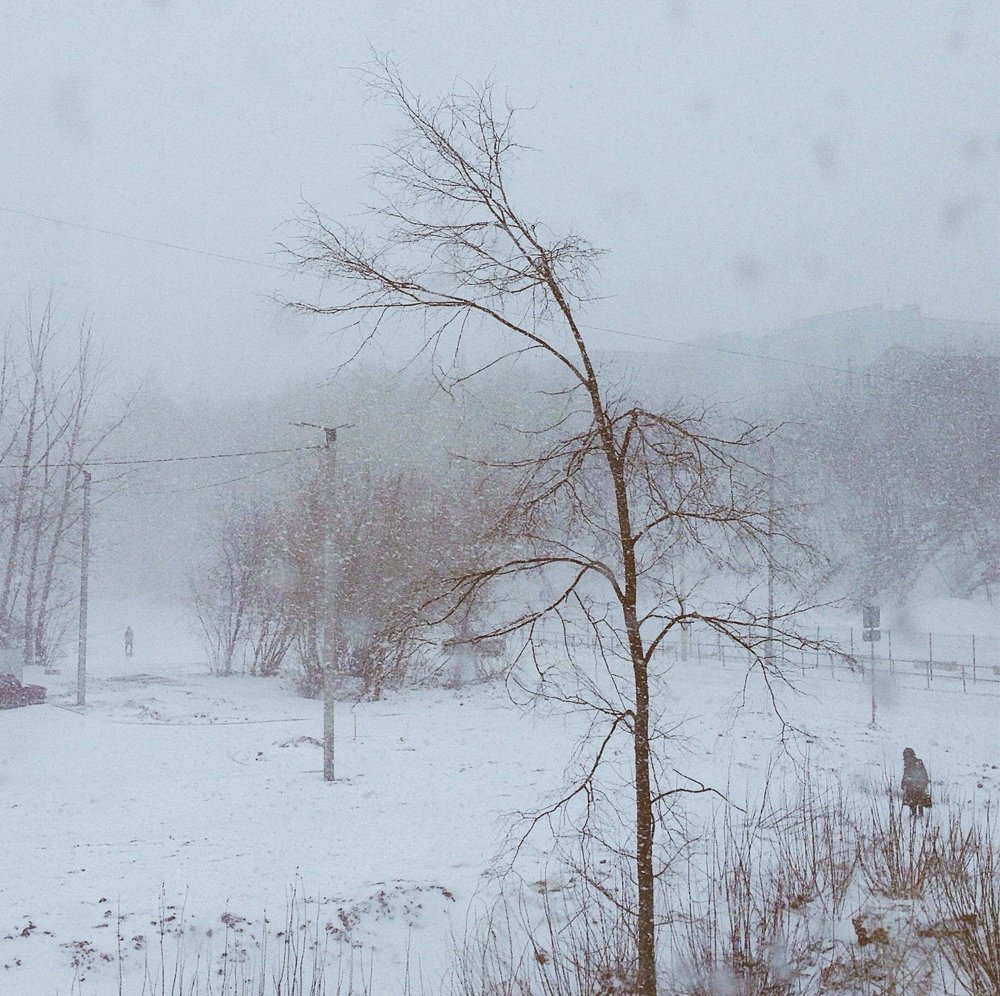 Photograph by Svetlana  Bakulina