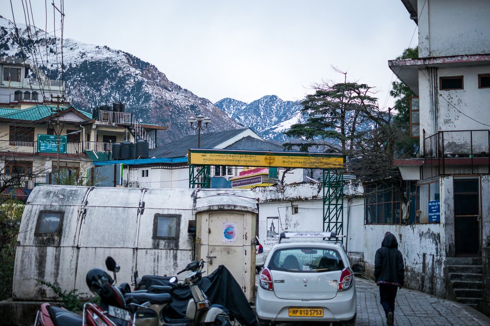 Photograph by Svetlana  Bakulina