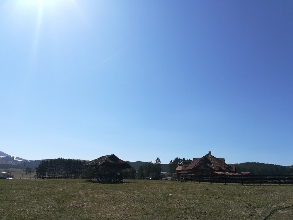 Фотография автора zivka ivanovic