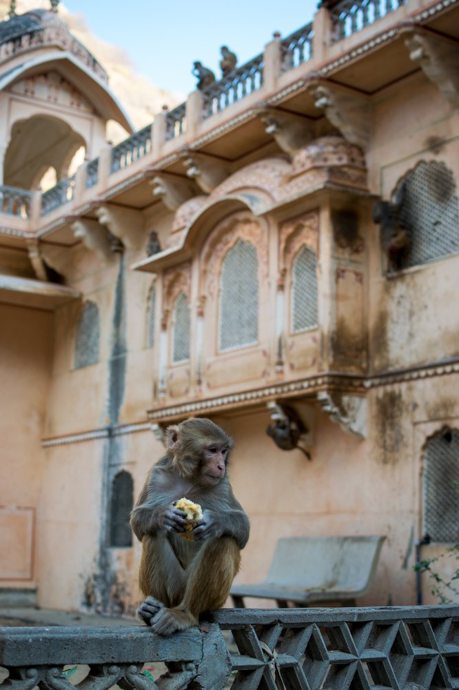 Photograph by Svetlana  Bakulina