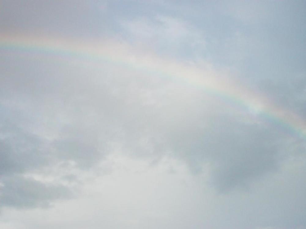 Фотография автора zivka ivanovic