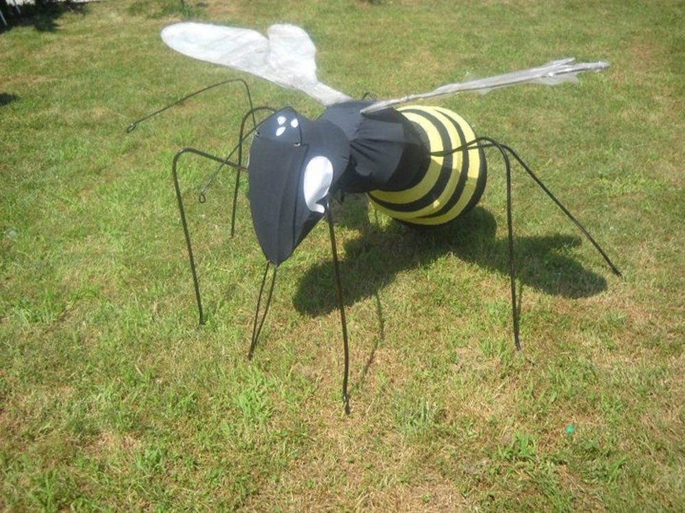 Фотография автора zivka ivanovic