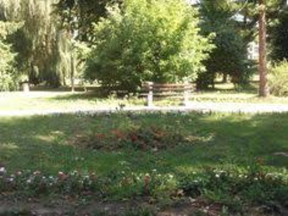 Фотография автора zivka ivanovic