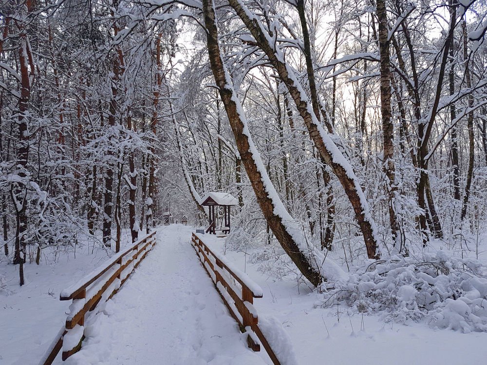 The road to Santa Claus