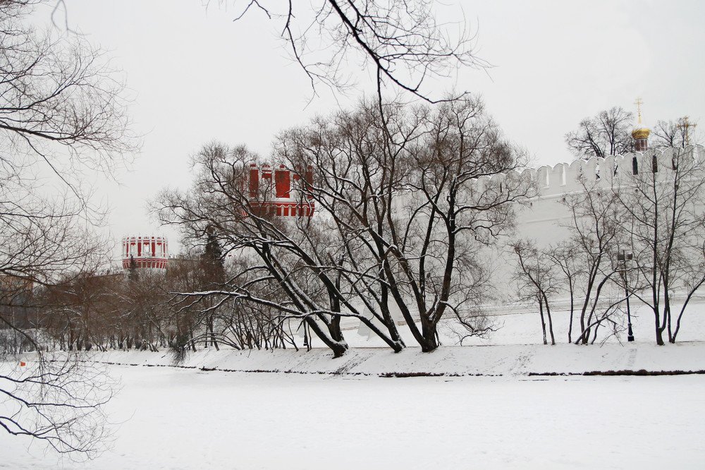 Novodevichy