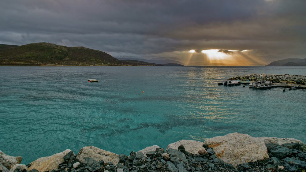 Photograph by Людмила Ефремова