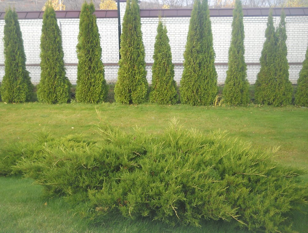 Photograph by Татьяна Иваненкова