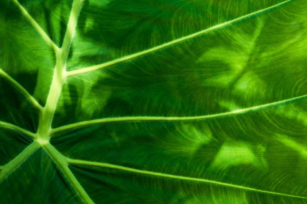 Photograph by Соша Грухина