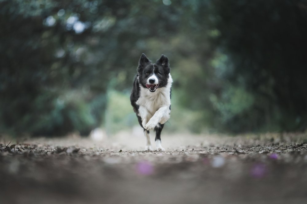 Photograph by Deise de Oliveira