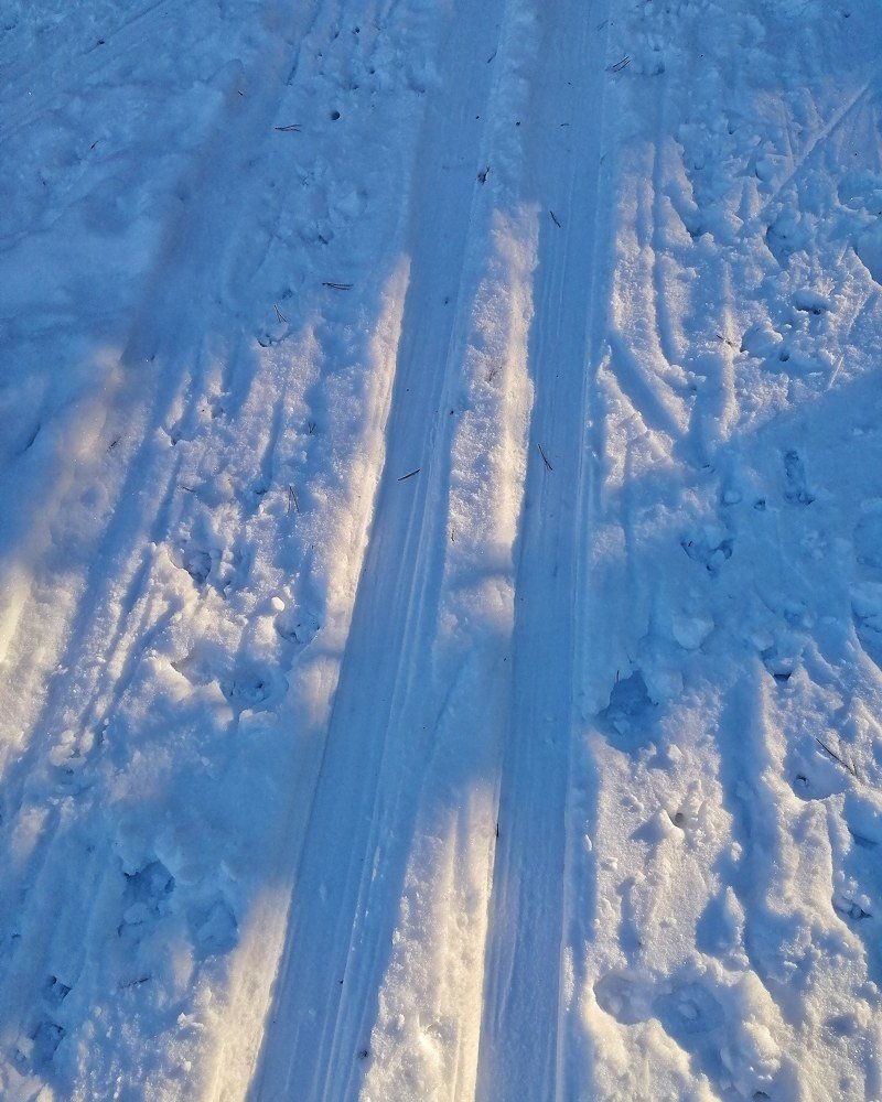 Photograph by Ирина