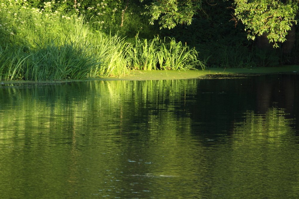 Photograph by Сергей Ножнин