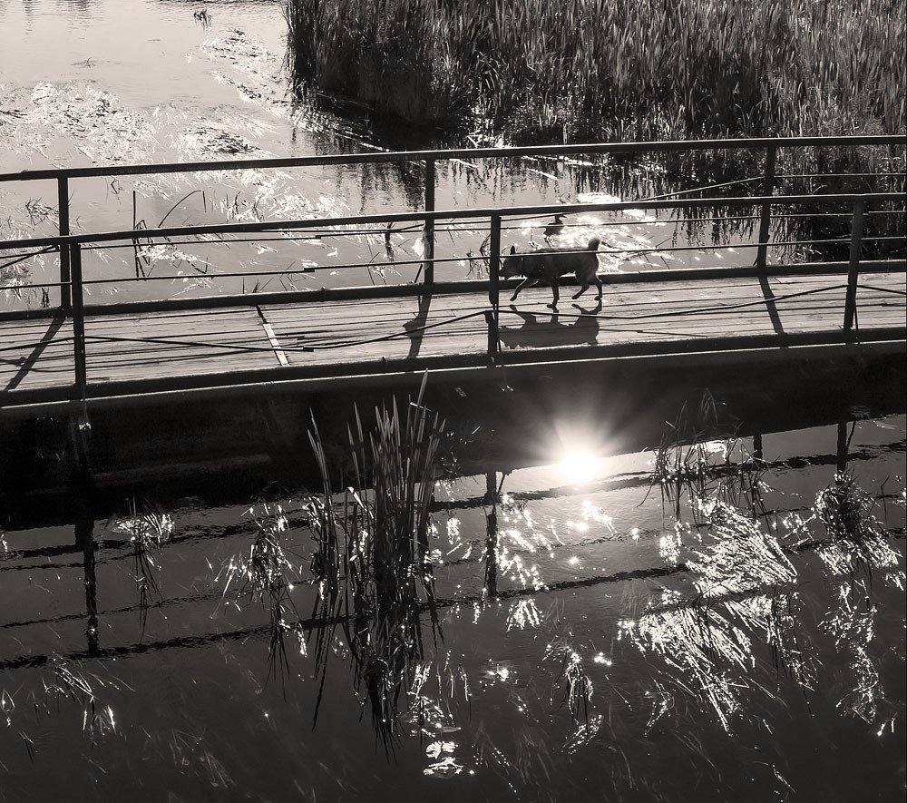 Photograph by Павел