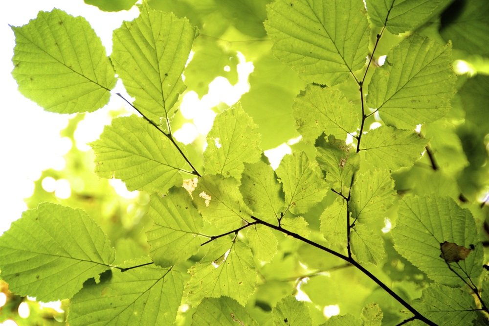 Photograph by cartoon62