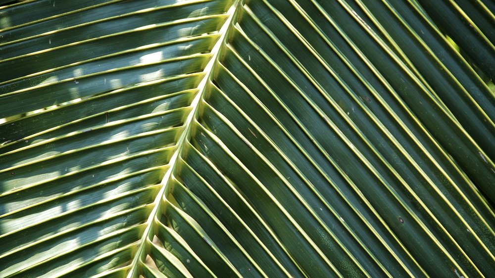 Photograph by cartoon62